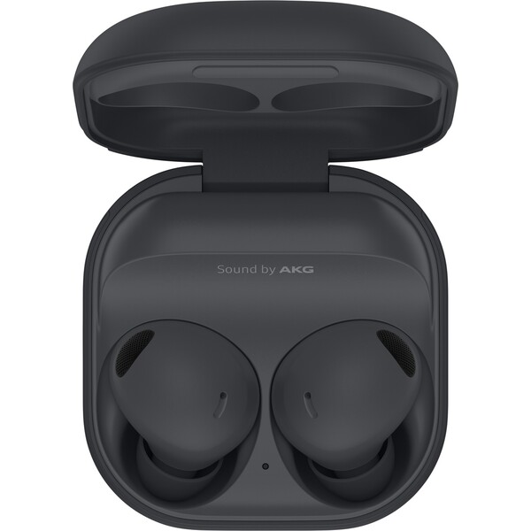 Samsung Galaxy Buds2 Pro grafitová